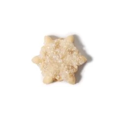 Good Grips Cookie Press Disk Set | OXO -Kitchen Product Store 11177800 6 snow flake decorated