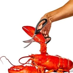 Seafood Scissors -Kitchen Product Store gg 11350600 seafoodscissors 03 p